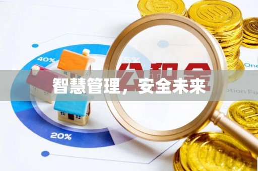 石龙智慧管理，安全未来