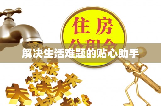 石龙解决生活难题的贴心助手