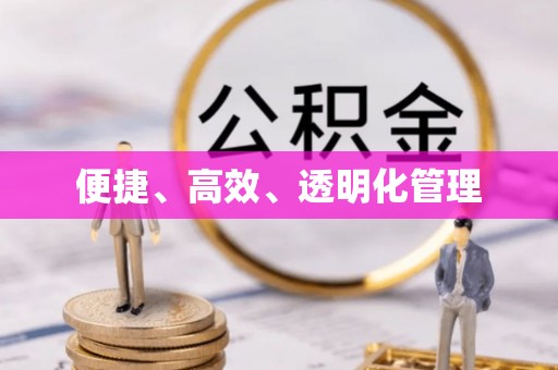 石龙便捷、高效、透明化管理