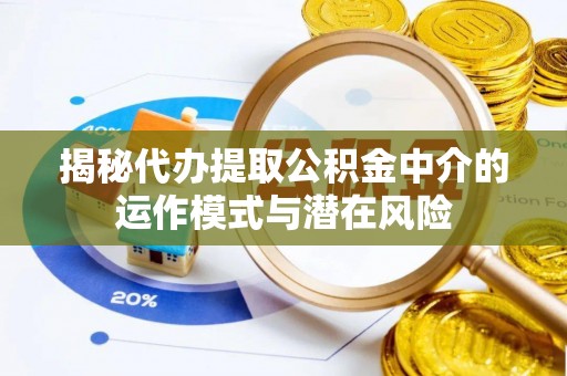 石龙揭秘代办提取公积金中介的运作模式与潜在风险