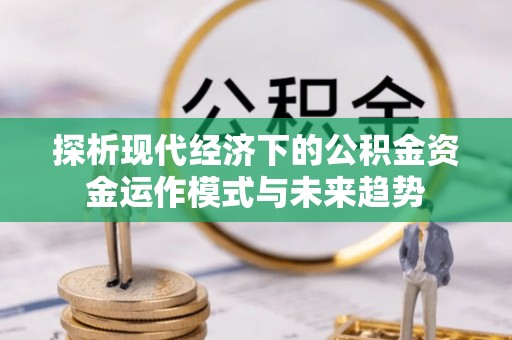 石龙探析现代经济下的公积金资金运作模式与未来趋势