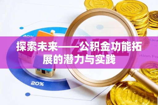 石龙探索未来——公积金功能拓展的潜力与实践