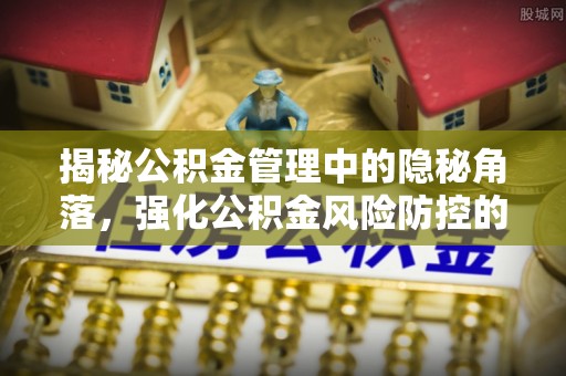 石龙揭秘公积金管理中的隐秘角落，强化公积金风险防控的必要性与路径