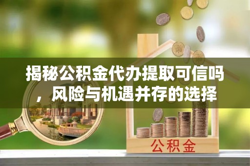 石龙揭秘公积金代办提取可信吗，风险与机遇并存的选择