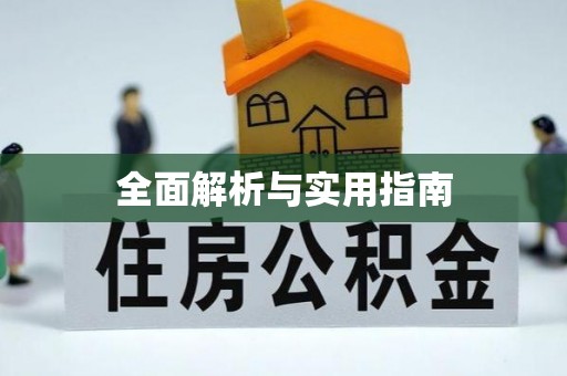 石龙全面解析与实用指南