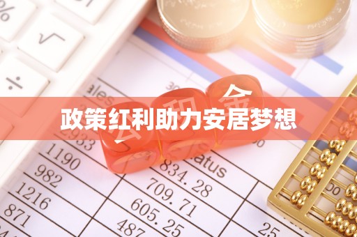 石龙政策红利助力安居梦想