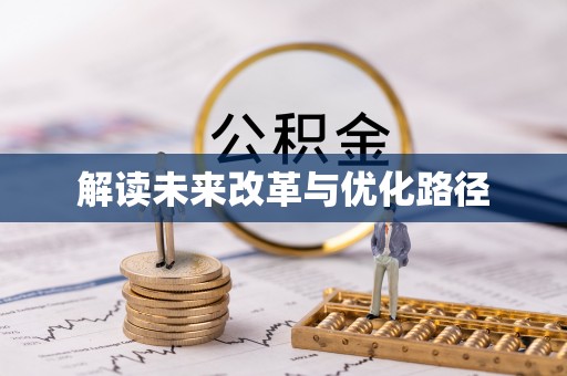 石龙解读未来改革与优化路径