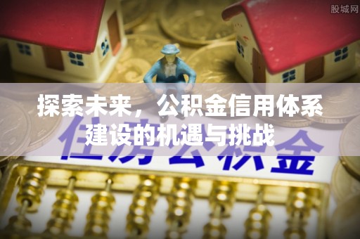 石龙探索未来，公积金信用体系建设的机遇与挑战