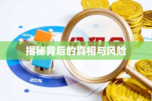 石龙揭秘背后的真相与风险