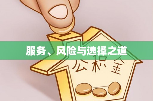石龙服务、风险与选择之道