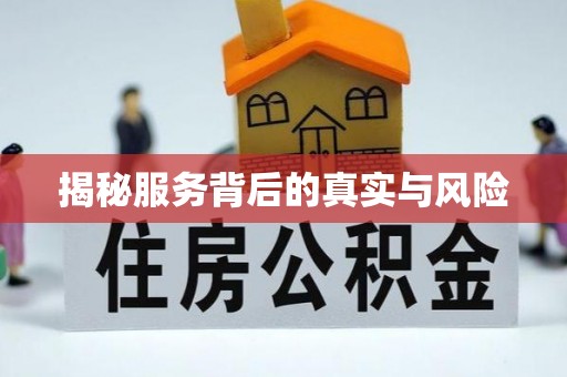 石龙揭秘服务背后的真实与风险
