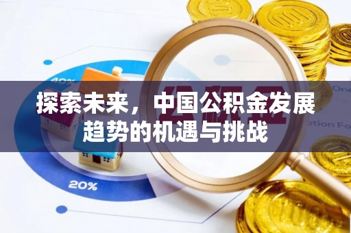 石龙探索未来，中国公积金发展趋势的机遇与挑战