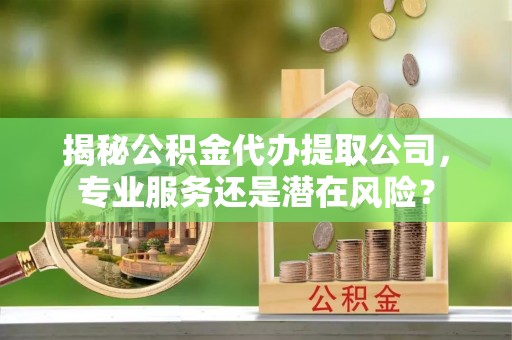 石龙揭秘公积金代办提取公司，专业服务还是潜在风险？