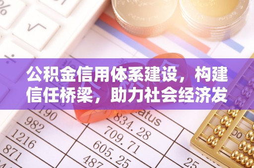 石龙公积金信用体系建设，构建信任桥梁，助力社会经济发展