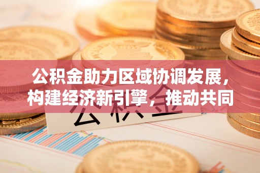石龙公积金助力区域协调发展，构建经济新引擎，推动共同富裕