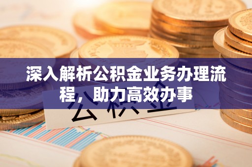 石龙深入解析公积金业务办理流程，助力高效办事