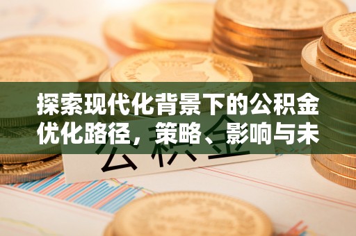 石龙探索现代化背景下的公积金优化路径，策略、影响与未来展望