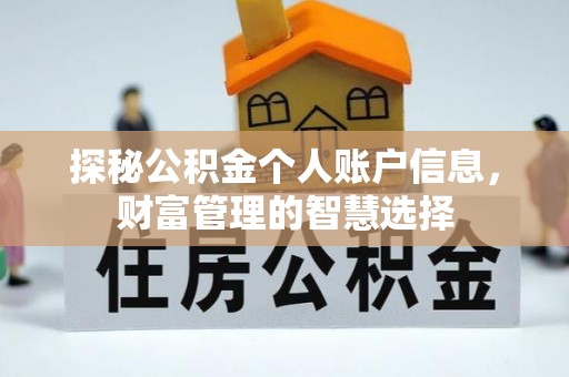 石龙探秘公积金个人账户信息，财富管理的智慧选择