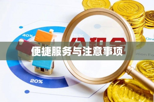 石龙便捷服务与注意事项