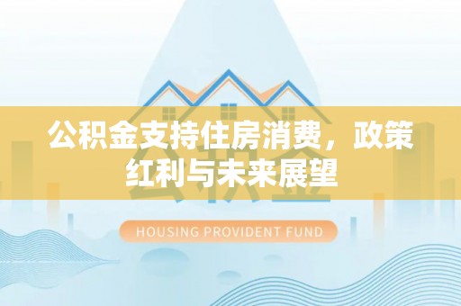 石龙公积金支持住房消费，政策红利与未来展望