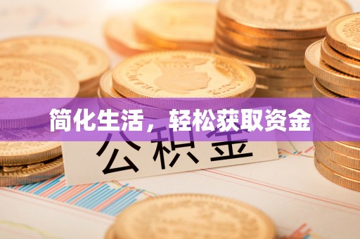 石龙简化生活，轻松获取资金