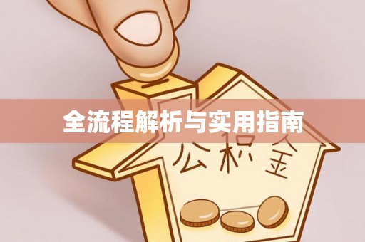 石龙全流程解析与实用指南