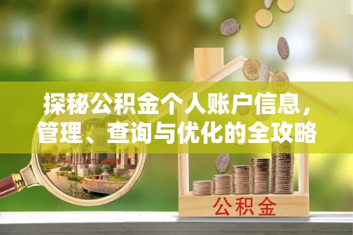 石龙探秘公积金个人账户信息，管理、查询与优化的全攻略