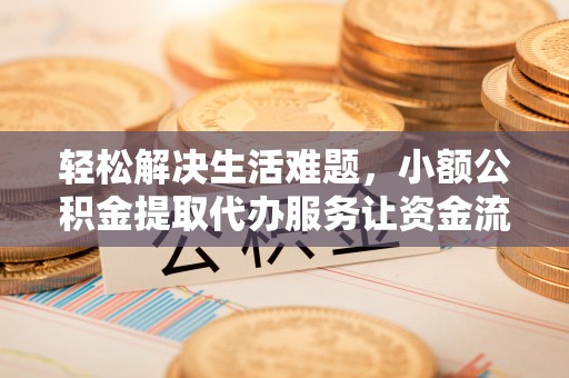 石龙轻松解决生活难题，小额公积金提取代办服务让资金流动更便捷