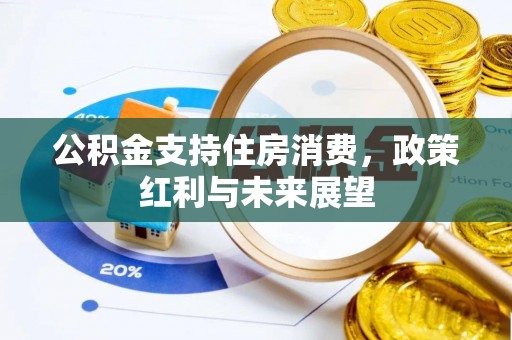 石龙公积金支持住房消费，政策红利与未来展望