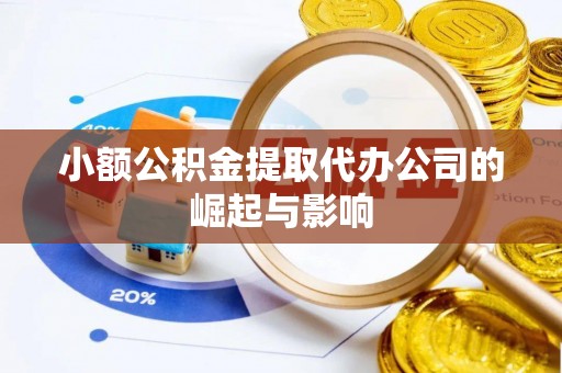 石龙小额公积金提取代办公司的崛起与影响