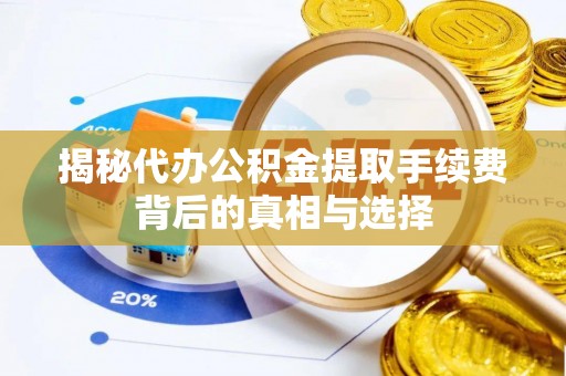 石龙揭秘代办公积金提取手续费背后的真相与选择
