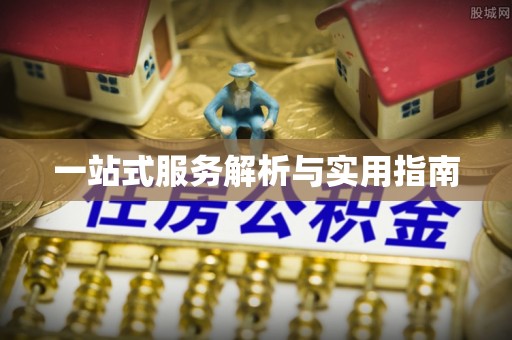 石龙一站式服务解析与实用指南