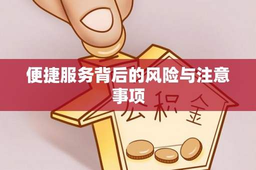 石龙便捷服务背后的风险与注意事项