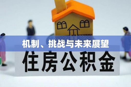 石龙机制、挑战与未来展望