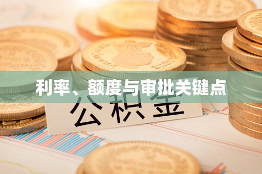 石龙利率、额度与审批关键点