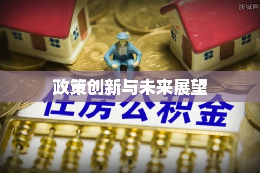 石龙政策创新与未来展望