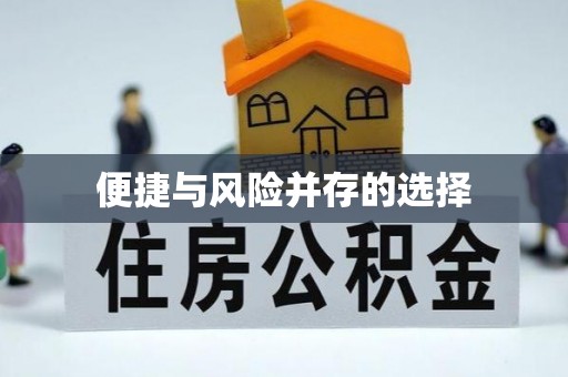 石龙便捷与风险并存的选择