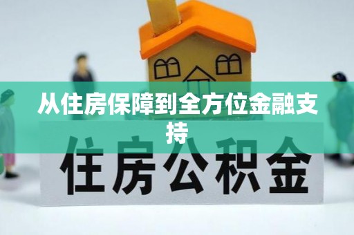 石龙从住房保障到全方位金融支持