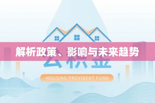 石龙解析政策、影响与未来趋势