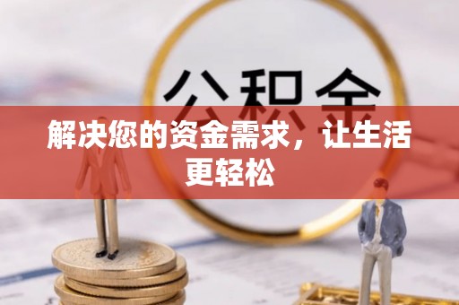 石龙解决您的资金需求，让生活更轻松