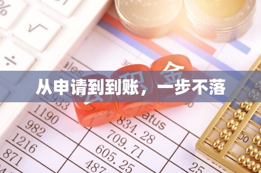 石龙从申请到到账，一步不落
