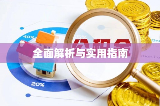 石龙全面解析与实用指南