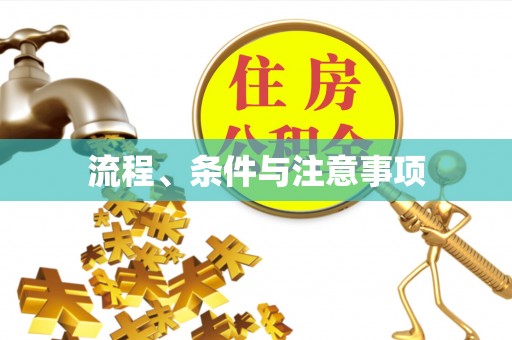 石龙流程、条件与注意事项