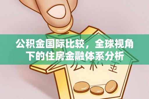 石龙公积金国际比较，全球视角下的住房金融体系分析