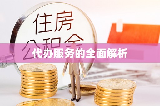石龙代办服务的全面解析