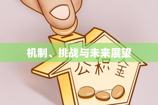 石龙机制、挑战与未来展望